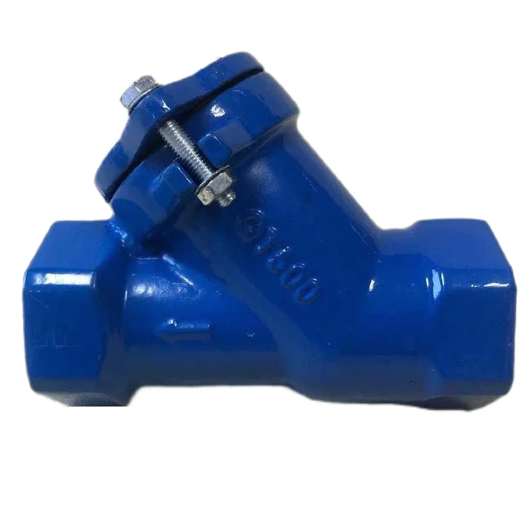 Ductile Iron BSPP thread Water Rubber Ball Check Valve