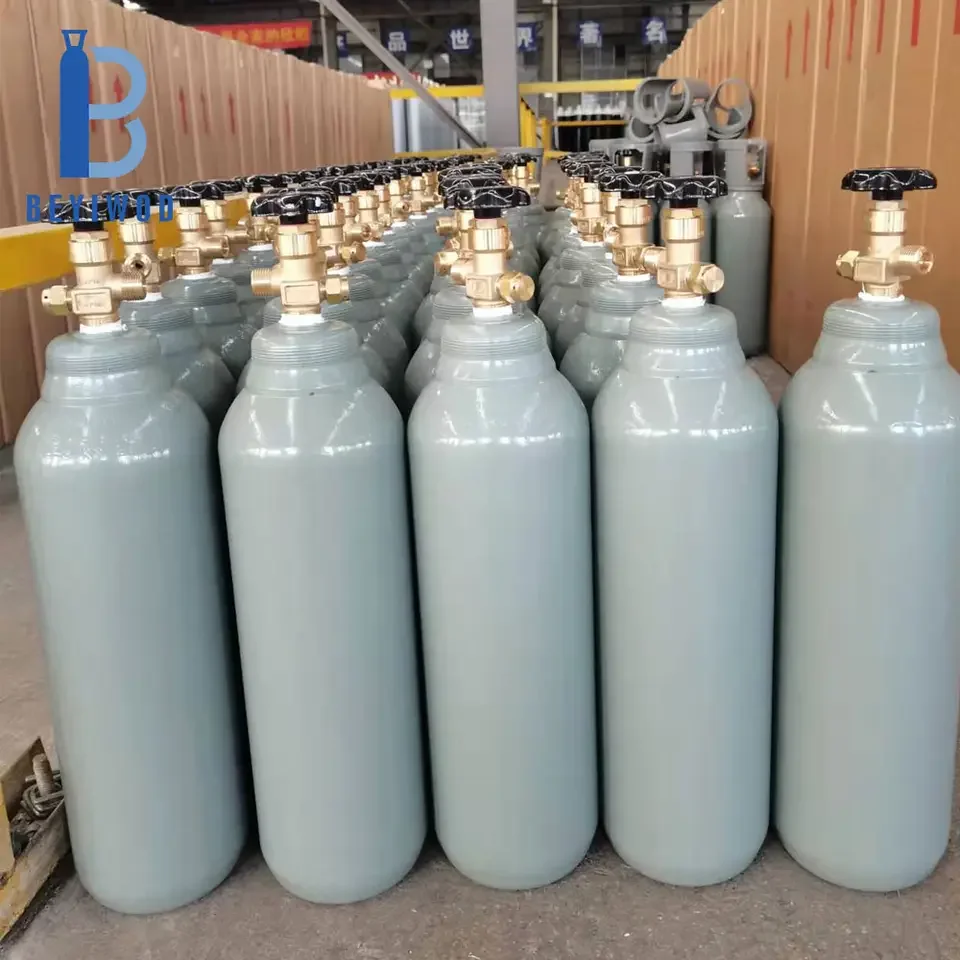 BEYIWOD 2L 3L 4L 5L 10L 20L 30L 40L 50L Capacity CO2 Cylinder CO2 Beer Cylinder Gas Cylinder