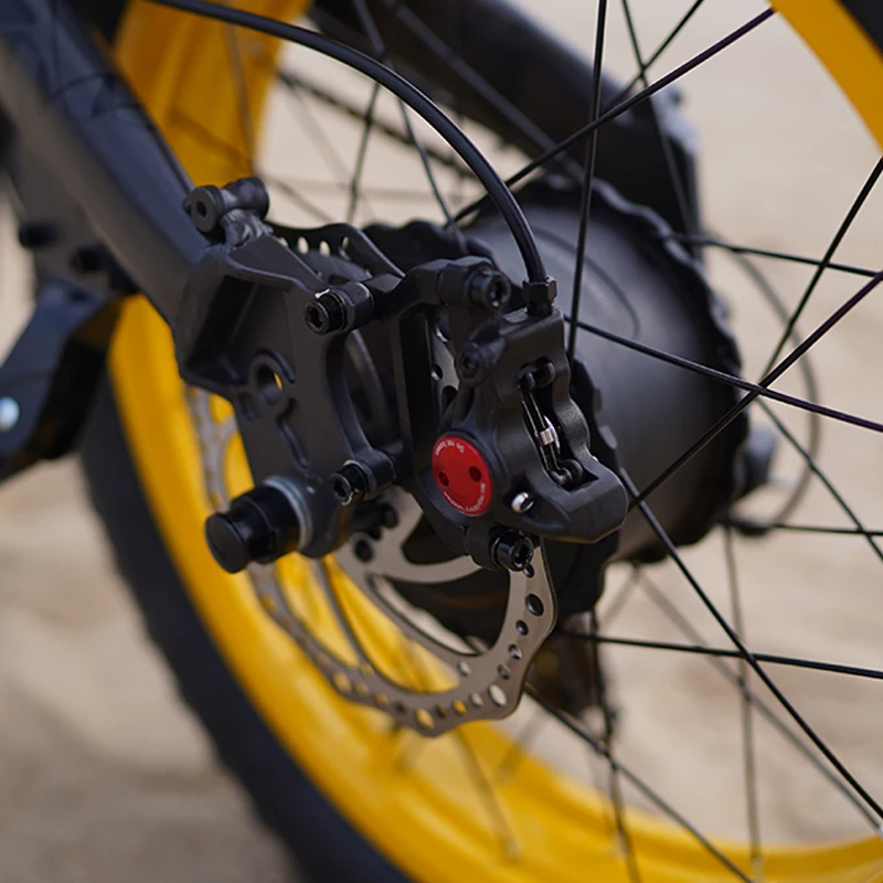 750W 1000W high power electric bicycle 20*4.0 fat tire electric bike/ebike/beach snow bike/electric folding bike