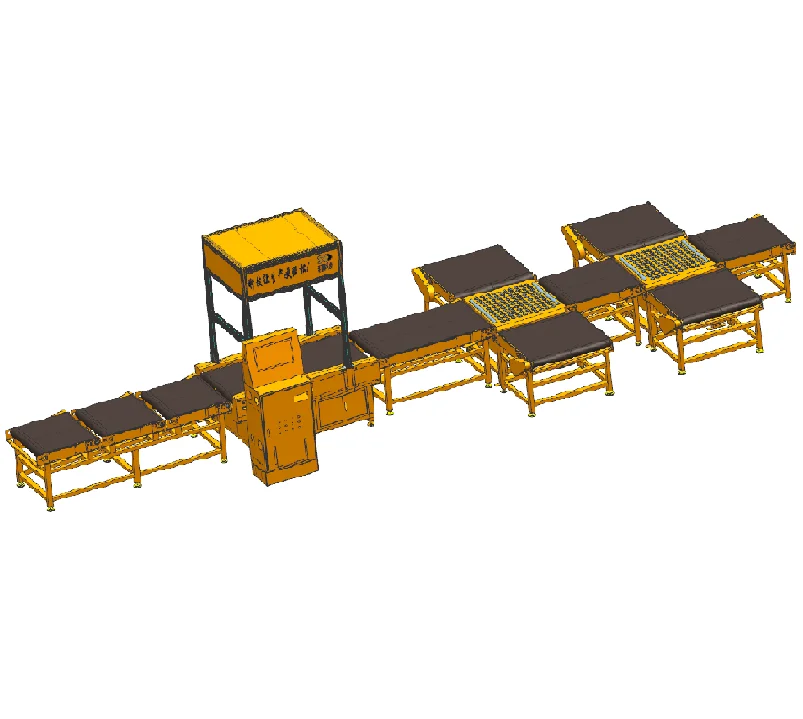 Senad высокоскоростная система dws, интеллектуальный полный набор, крупногабаритная сканирующая весовая сортировочная машина для логистики/электронной коммерции