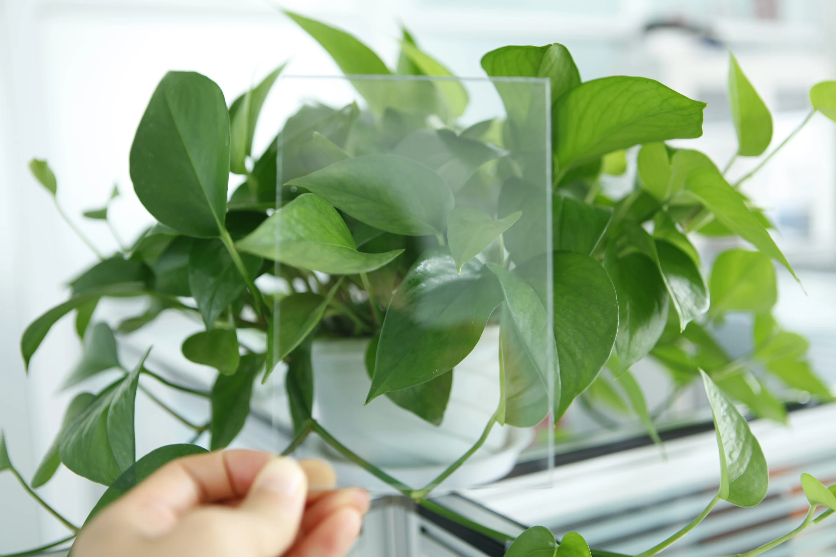 Hollow Polycarbonate Sunlight Sheet Panel Board