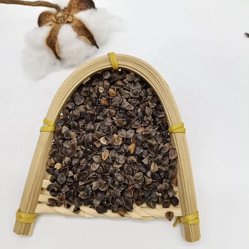 wholesale Buckwheat husk For Pillow Bed Filling Tartary Buckwheat flour
