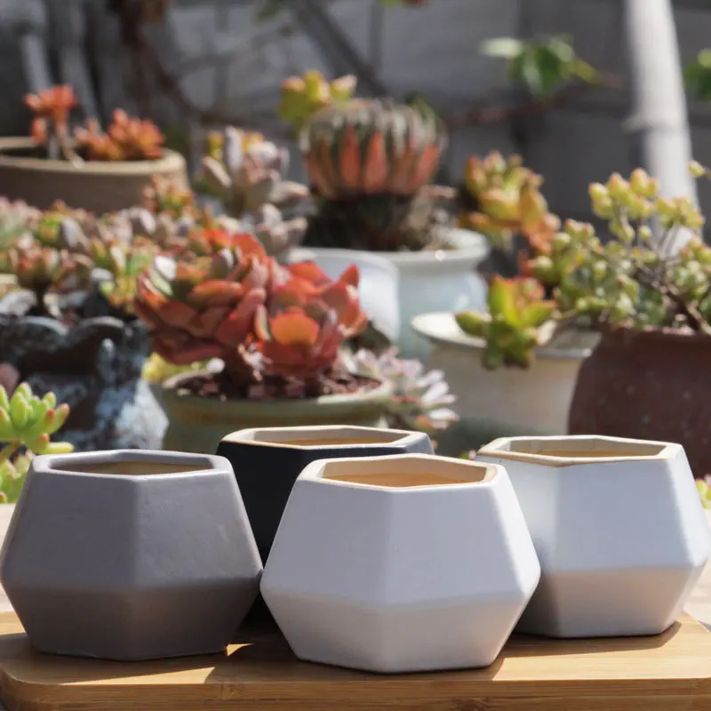 European style simple succulent flower pot wholesale Breathable pots Geometric ceramic basin Black and white creative flower pot