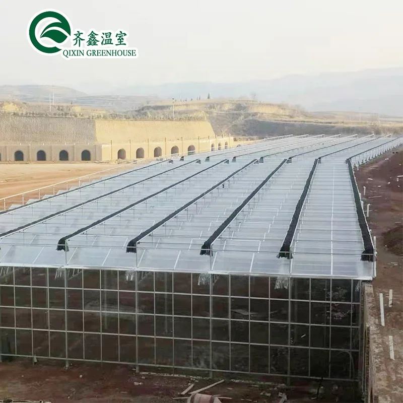 Best selling 100% new material polythene tunnel greenhouse ,UV protection plastic greenhouse  for growing vegetables