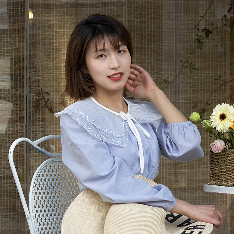 Hot selling embroidery designs collar lace fake collar false collar