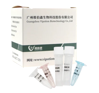 Babesia Gibsoni/Bab. canis vogeli/Bab. canis PCR набор для обнаружения в реальном времени PCR лиофилизированный набор для тестирования собак от производителя