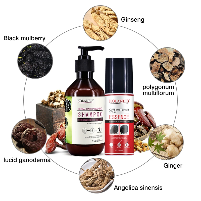 KOLANBIS Wholesale Morus Alba Black Hair Color Shampoo Products For Anti White And Gray Private