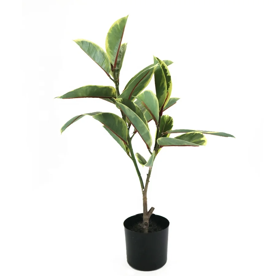 Wholesale 66cm high artificial oak tree with black plastic pot