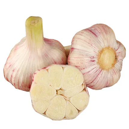 Hot sale fresh red garlic Peeled wholesale supplier new crop China normal white Garlic Ajo Fresco