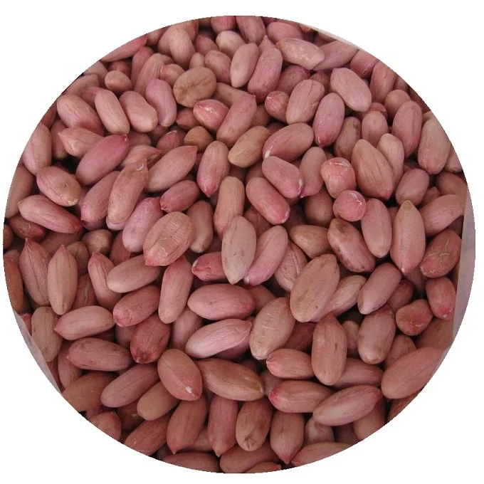 Высококачественные сырые арахисовые ядра и арахис/жареный окрашенный арахис на продажу