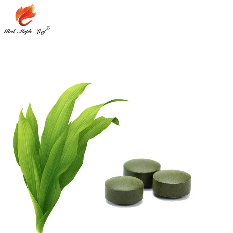  Красный кленовый лист производящий Spirulina platensis