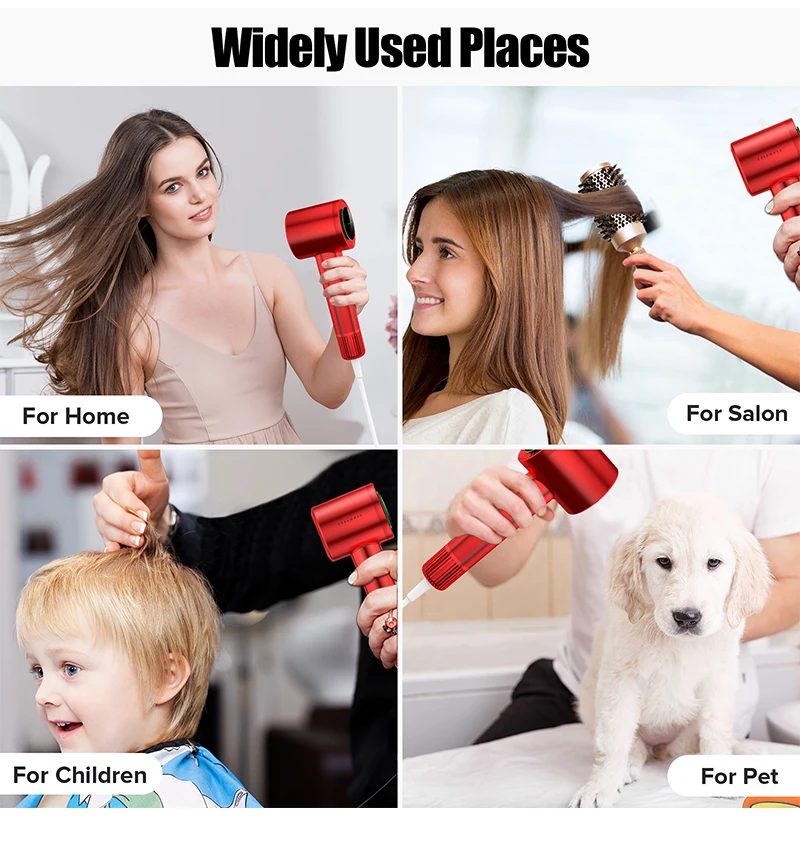 LDY Lyson Portable Household Ionic Hair Dryer 110000rpm/1500w Salon High Speed Hair Dryer with 110v and 220v Electric Plastic