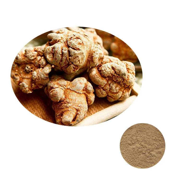 Widely Used Superior Quality Wholesale Herb in Other Plant Extract Yunnan Sanqi Root