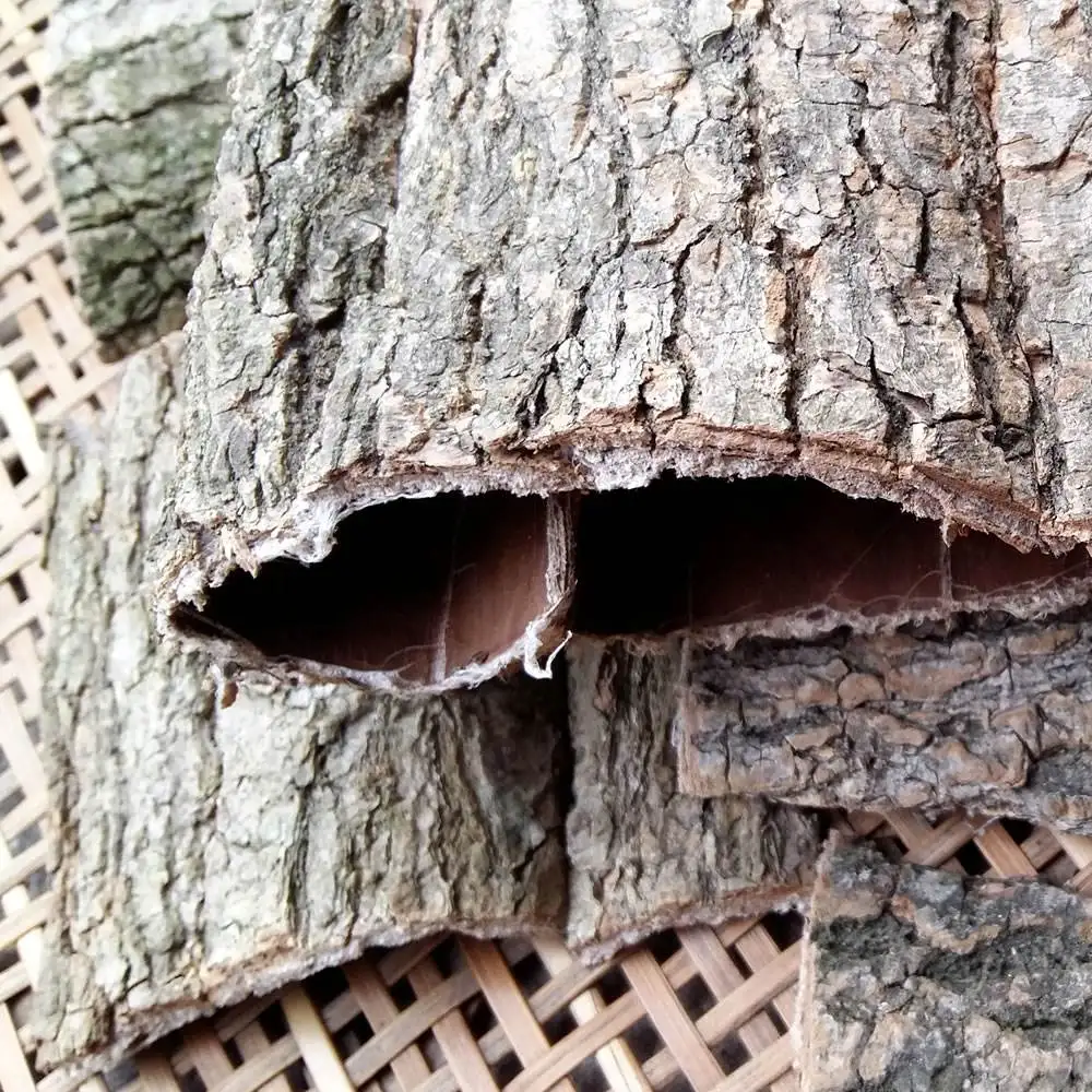 Wholesale Factory High Quality Popular Chinese Herb Tree Bark Chinese Medicine Dried Eucommia Ulmoides