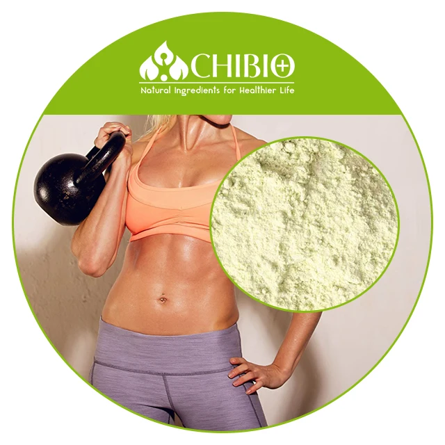 
Pure Textured Pea Protein Concentrate Isolate Powder for Fat Binder Plant-Based Meat 