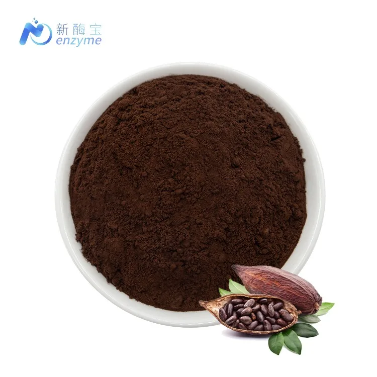 Novenzyme Supply Bulk Price High Quality Free Sample Alkalized Cocoa Powder