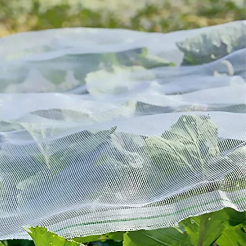 Transparent Nylon Bird Mist hdpe bird netting agritultural mesh for fruit trees protect