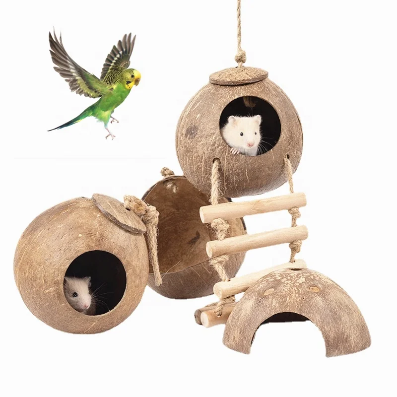 Handmade coconut shell hamster nest polished wooden shelter golden bear chinchilla parrot warm breeding bird nest