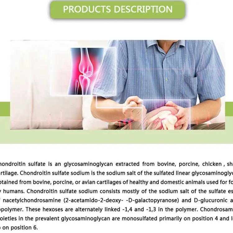 Anti Osteoarthritis Raw Material Fish Sulfate Chondroitin Food Grade Chondroitin Sulfate Powder