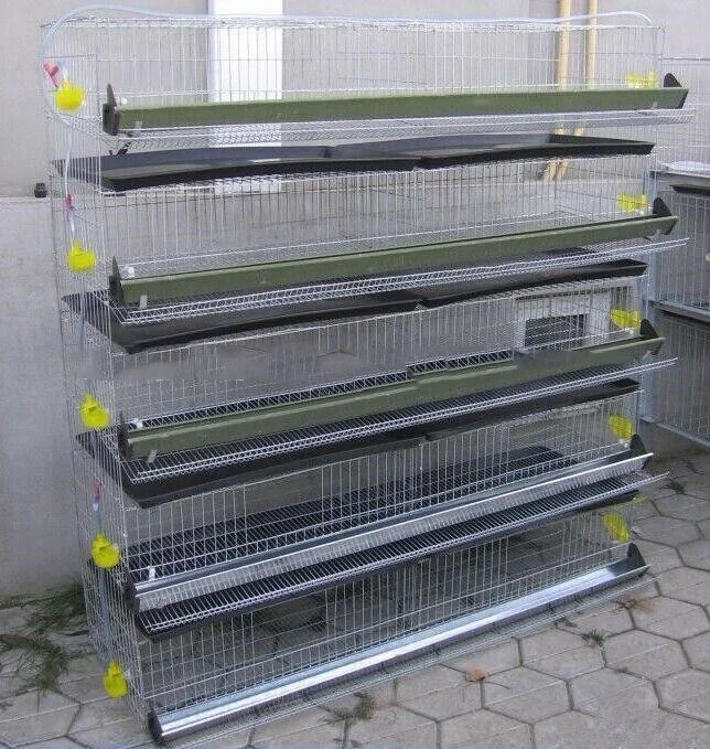 Automatic Design Layer Quail Cages / Commercial Quail Layer Cage