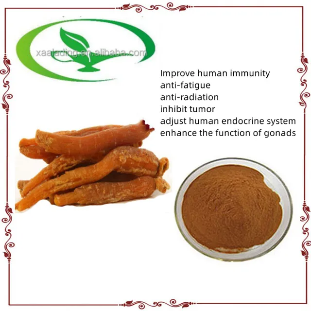 Factory Supply High Quality Ginseng Root Extract Panax Ginseng Extract Ginsenosides Powder