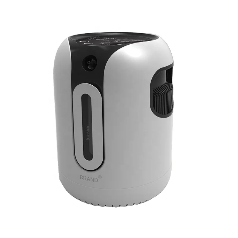 
10 LIiter Oxygen Concentrator 10L High Purity Portable Oxgen Concentrator Concentrador De Oxigeno for Sale Free Spare Parts 