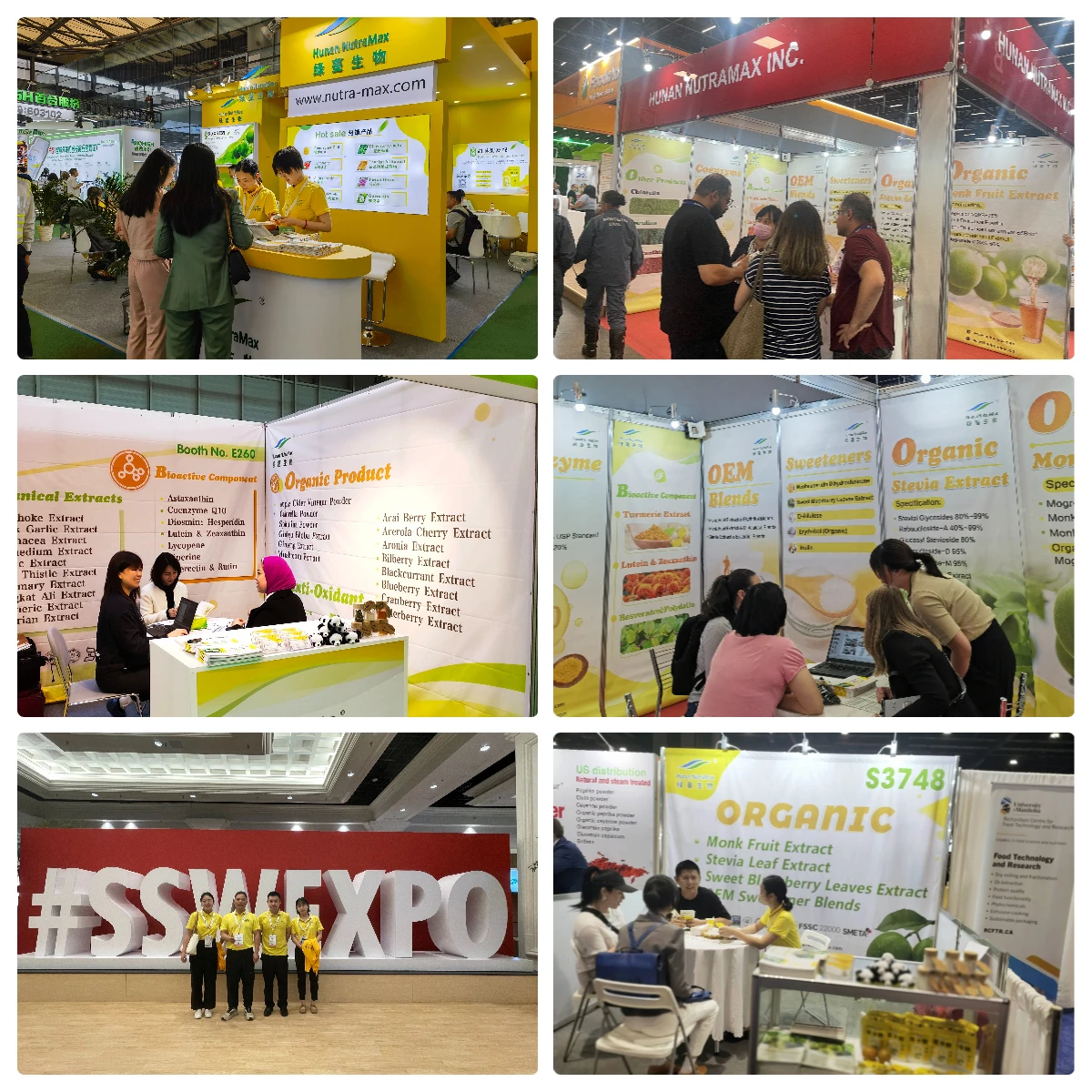 100% Natural Stinging Nettle Leaf Powder for Nutrition Supplements