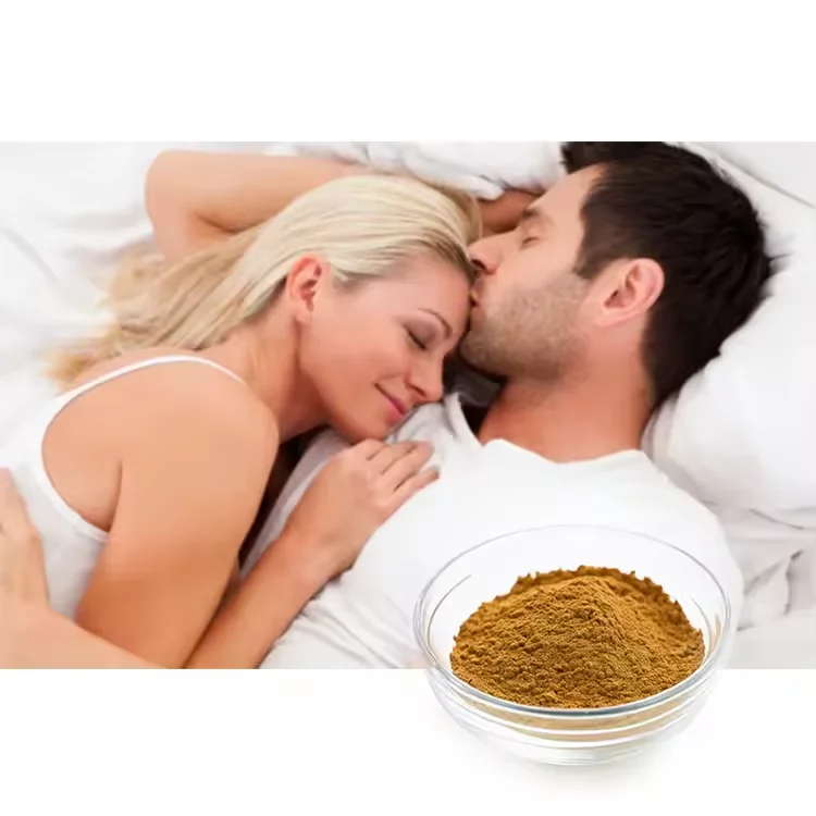 Wholesale Bulk Natural Cynomorium Songaricum Powder Cynomorium Extract and Epimedium