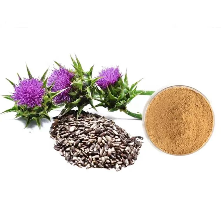 Aurora Pure Milk Thistle Extract Powder Silymarin 40% 80%  UV HPLC