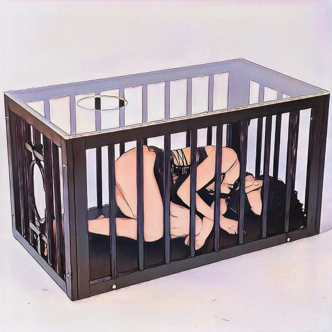 Punishment Sex Toys Products Erotic Stainless Cage Slave Bondage Dungeon Furniture Large Strong Metal Cage Bdsm Cage