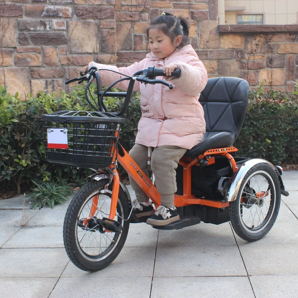 Chinese New Design China 3 Wheel Motor Tricycle/Electric Tricycle For Diabled Or Old People