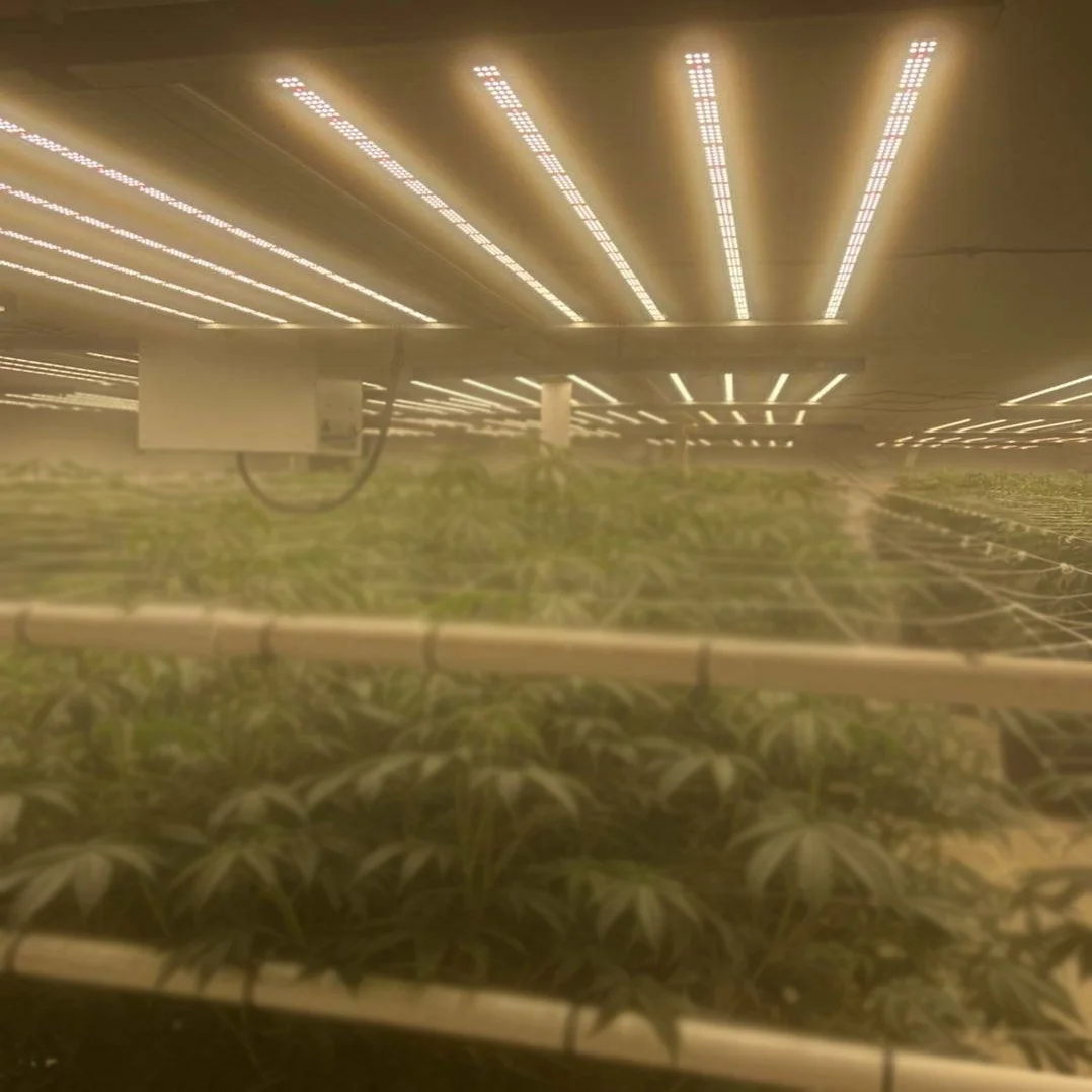 BLE 720W Samsung 301b with Red Ray LED Grow Light for Home Grower Tent to Supplement Lighting