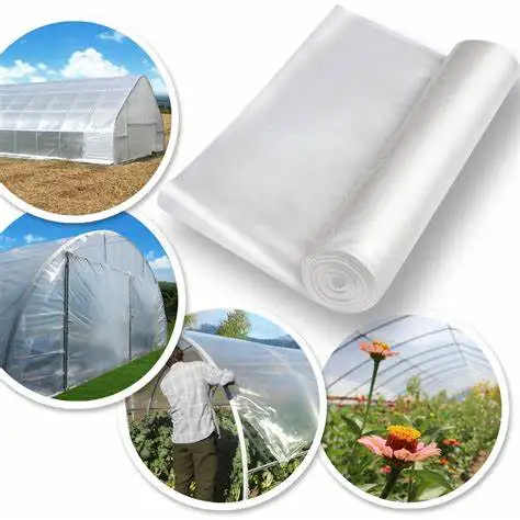 Large Size High Tunnel Agricultural Greenhouse film for Tomato growing