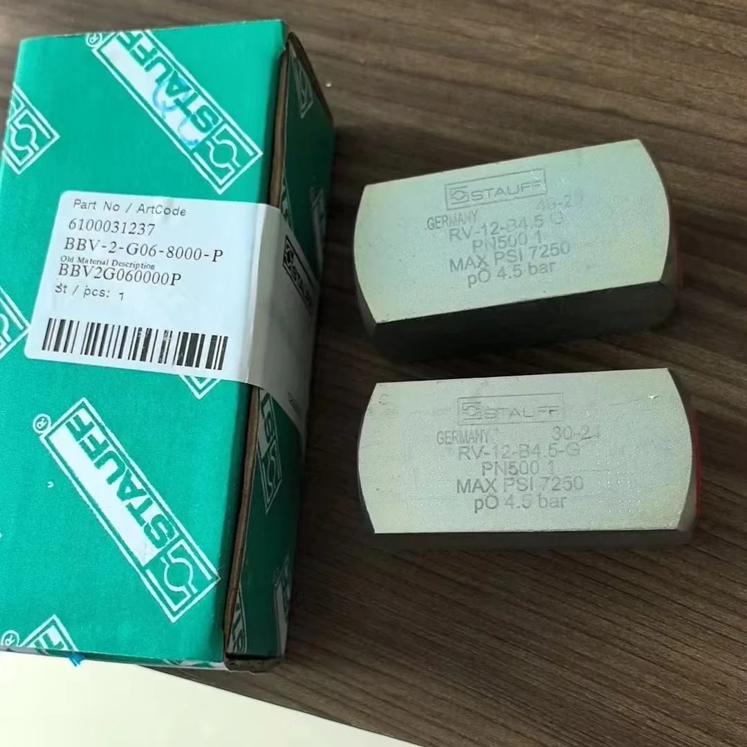 CIFA wet spray parts 6100031237 BBV-2-G06-8000-P CIFA check valve