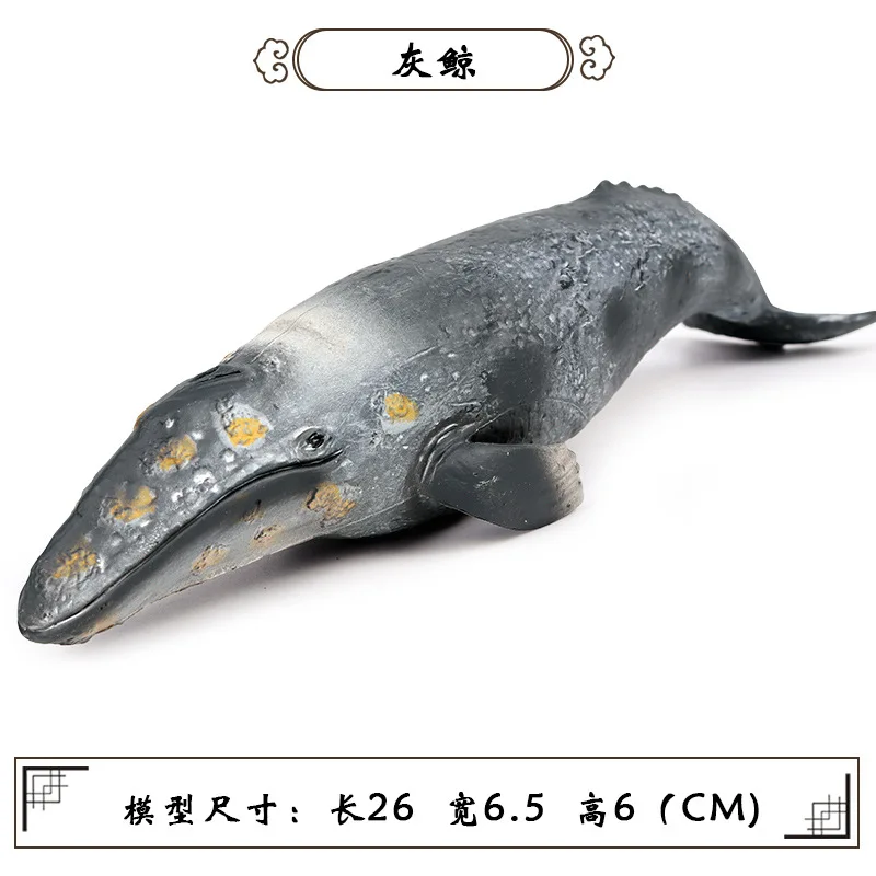 CJJ174 7509.jpg