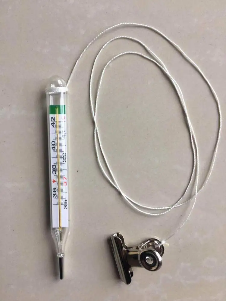 Недорогой ветеринарный клинический цифровой термометр без ртути для рекламы