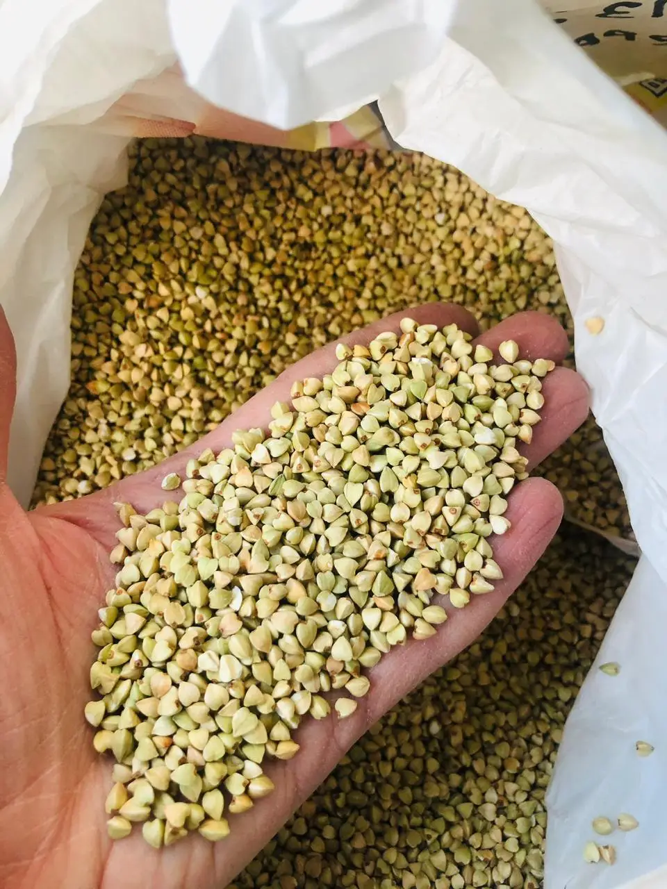 Great quality new crop unsteamed green buckwheat natural pure buckwheat grain with competitive price