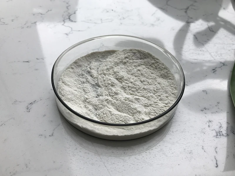 Insen Provide Bulk Stock Nano Chitosan Chitin