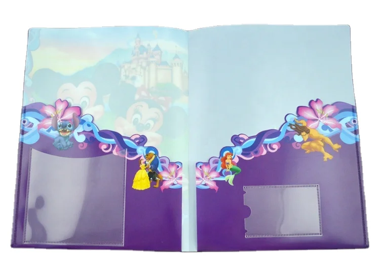 Custom Logo Printed A4 Size PP Plastic File Folder with 2 Pockets