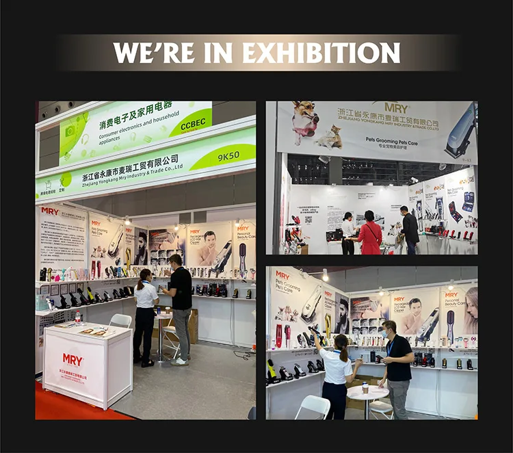 MRY 5 in 1 Hot Sale Professional Multi Styler High-Speed Hair Dryer Straightener Electric Blower Flat Iron Hair Curler Suit