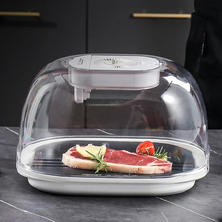2022 New Defrosting Box  With Meat Defrosting tray Kitchen Product Meat Defrosting Machine Quickly Thawing