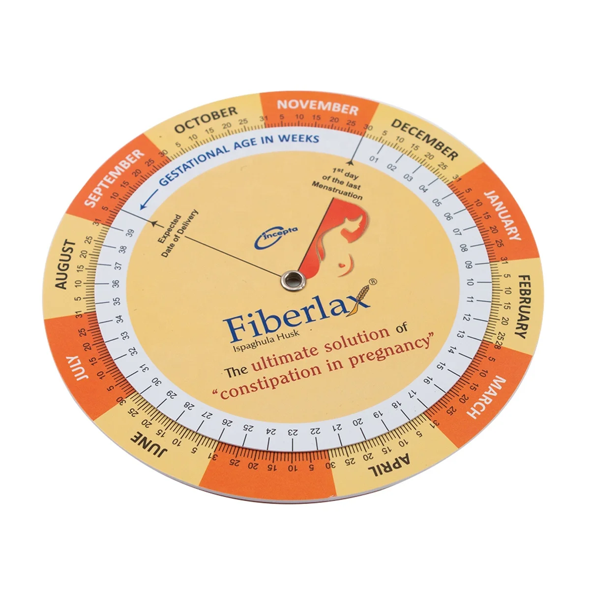 China Supplier Pregnancy Due Date Calculator BMI Medical Wheel