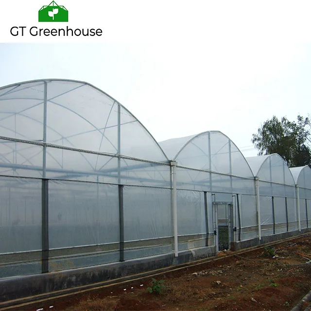 Snail Farming Agriculture Types 5th Generation Greenhouses Commercial Green House