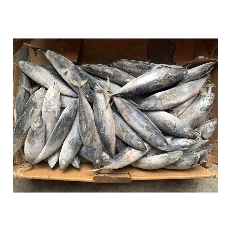 Китайский поставщик замороженных морепродуктов термо бонтос рыба замороженная