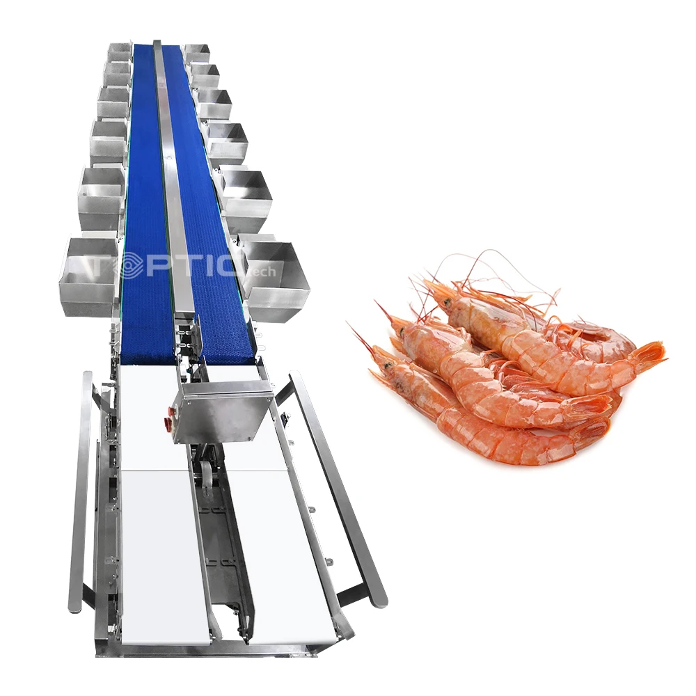 Weight Sorting Machine Grader Sorter Machinery Grading Machine Classifier for Shrimp Oyster Tilapia Seafood Abalone Processing