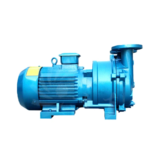 2BV2060 2061 2070 2071 2BV5110 5111 5121 5131 5161 2BV6110 6111 6121 6131 6161 жидкой воды кольцевой вакуумный насос