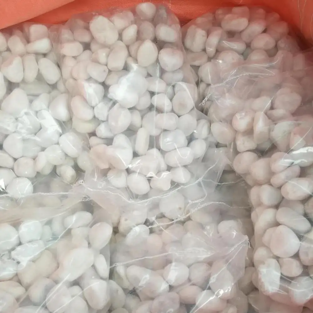 Snow white pebbles smooth landscaping  the pebble river garden stone for Wholesale Cheap