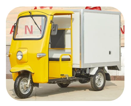Electric Powered Tuk Tuk Bajaj India Thailand Big Size E Bike 3 Wheels Adult Electric Delivery Tricycle