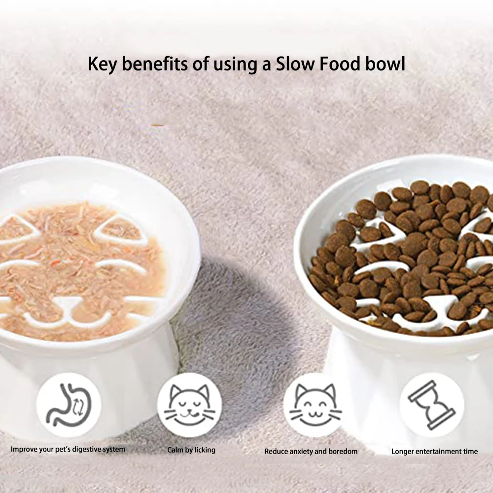 IKITCHEN Dry Wet Food Water Bowl for Cats Dogs Small Elevated Pet Bowl Slow Feeder Ceramic Slow Feeder Cat Bowls Slow Feeder