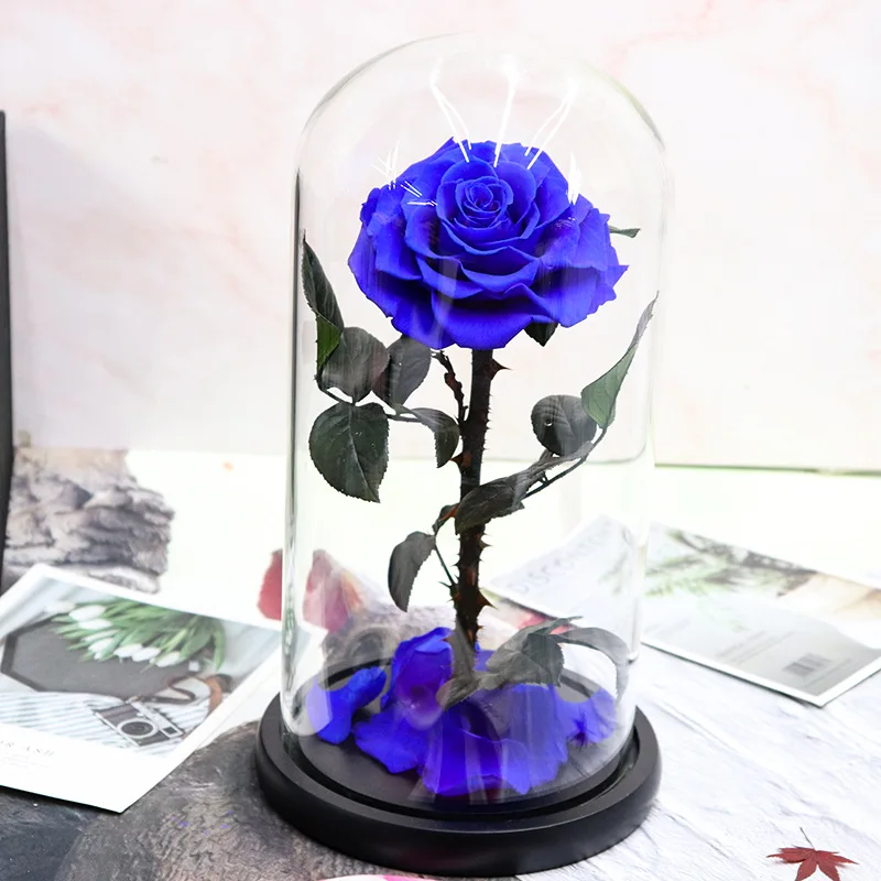 Wholesale Price beauty and the beast roses preserved roses in glass dome
